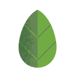 leaf image